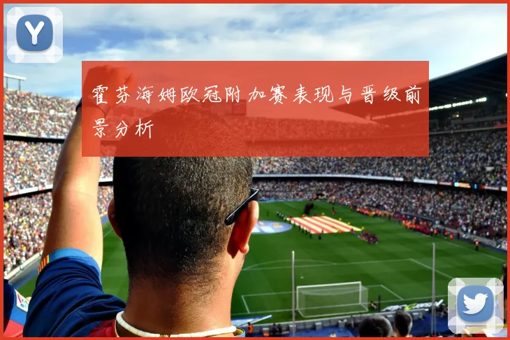 霍芬海姆欧冠附加赛表现与晋级前景分析