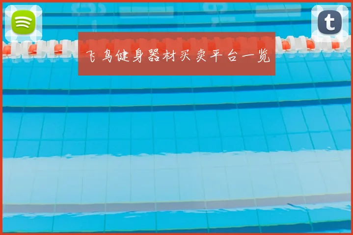 飞鸟健身器材买卖平台一览