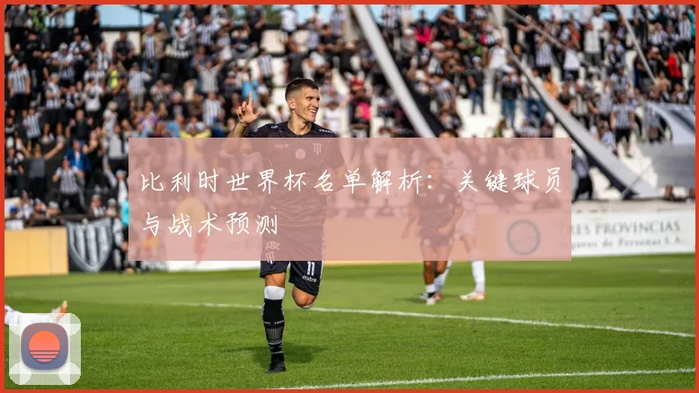比利时世界杯名单解析：关键球员与战术预测