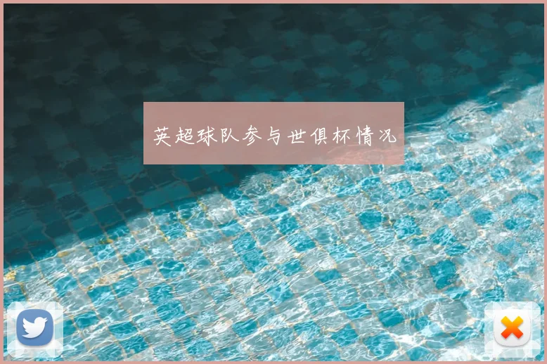 英超球队参与世俱杯情况