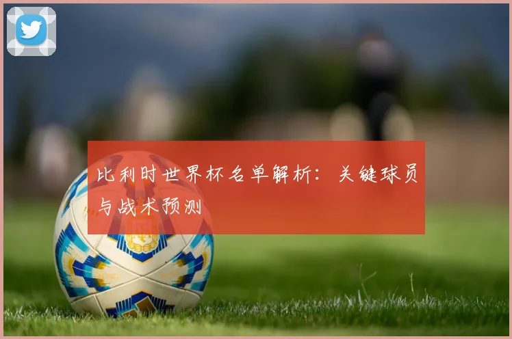 比利时世界杯名单解析:关键球员与战术预测