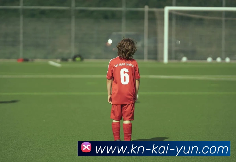 App Interface Preview