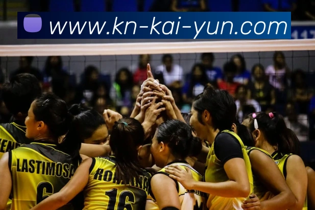 开云appAPP 封面图